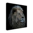 thumbnail image 4 of Louise Wolbers 'Proud Lion' Canvas Art, 4 of 4