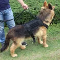 thumbnail image 3 of Black Dog Harness Adjustable Dog Vest with Handle For 45-60kg Extra Large Dogs Adjustable Size XL, 3 of 4