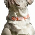 thumbnail image 5 of Oodles Polyester Wild Blooms Adjustable Floral Fashion Dog Collar, Red, Small, 5 of 9