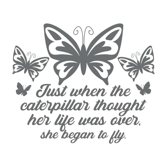 She Began To Fly Butterfly Life Motivational Quote Vinyl Design Wall Art Sticker Designs Vinyl Stickers For Home House Walls Rooms Windows Bedroom Decoration Size (28x28 inch)