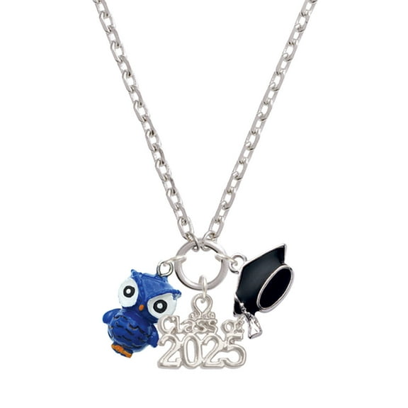 Delight Jewelry Resin Blue Snow Owl - Silver-tone Class of 2025 Graduation Zoey Necklace, 28"