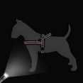 thumbnail image 3 of Didog No Pull Dog Harness Front Leading Adjustable Reflective Soft Warm Plush Padded Strap Vest XS-L, 3 of 8