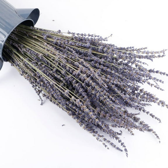 MarinaVida Natural Dried Lavender Flower Bundle, 21.5" Dry Lavender Flowers Bouquet with Stems for Home Decor Bathroom Wedding