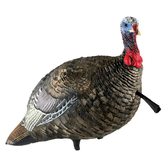 LCD Jake Quarter Strut Durable Realistic Lifelike Collapsible Standing Folding Hunting Turkey Decoy with Carry Bag & Stake, AVX8003