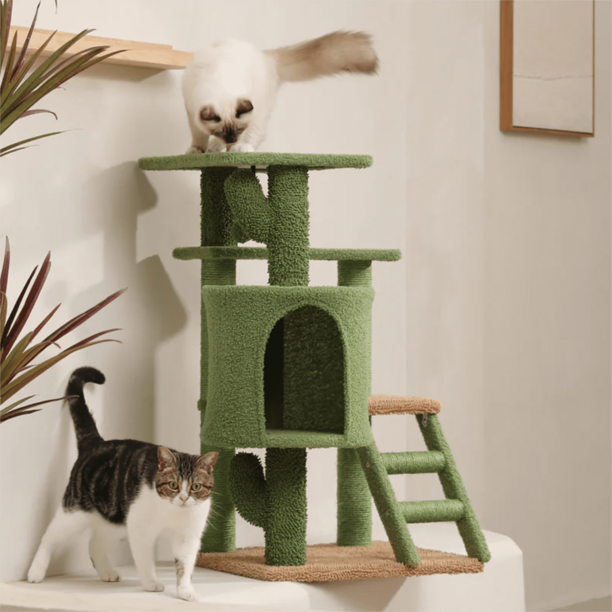 Kadyn 35" Cactus Cat Tree Tower for Indoor Cats, Cat Climbing Stand with Climbing Ladder for Multi-Level Cat Condo, Green