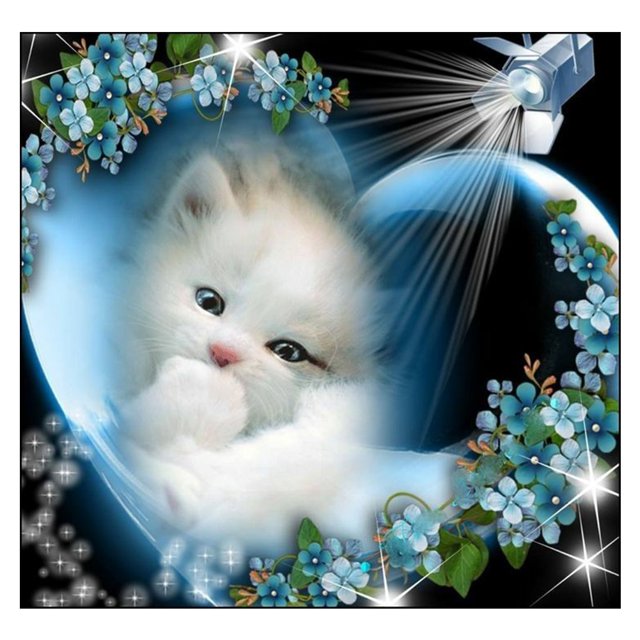 Wdftyju Cuadro de gato brillante DIY, pintura de diamante 5D, taladro redondo completo, Kit de diamantes de imitación, regalo Wdftyju 5fg0fc0qu5fx4gh2