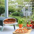 "RichYa 12"" Portable Stainless Steel Pellet Pizza Oven for Outdoor