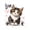 Cat 9, variant on jejeloiu Black White Tabby Cat Twin Sheet Sets Kids,Cartoon Kitten Pattern Bedding,3pcs