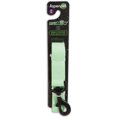 Aspen Pet Glow in the Dark Leash