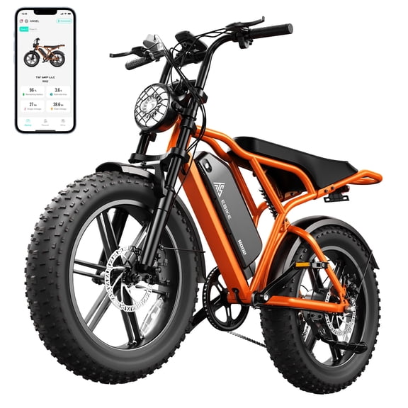 Electric Bike for Adults, 750W Motor, 20"x4.0 Fat Tire E-Bike for Age 16-55, 48V 15Ah Battery, 20 Mph Speed, Tested to UL2849 Standard by SGS