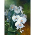 thumbnail image 2 of Vernageau, Sylvie 15x18 Gold Ornate Wood Framed with Double Matting Museum Art Print Titled - Phalaenopsis blanc, 2 of 4
