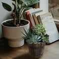 thumbnail image 3 of Milisten 2Pcs Wooden Flower Pots Practical Succulent Planter Home Garden Decoration, 3 of 6
