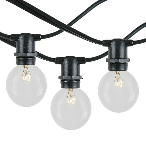Novelty Lights Clear Incandescent Globe Outdoor String Lights with 100 Bulbs G40 Vintage Bulbs Black Wire 100 Feet