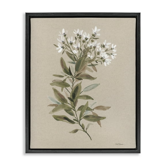 Stupell Industries Watercolor Wildflower Sprig Botanical & Floral Painting Black Floater Framed Art Print Wall Art, 17 x 21