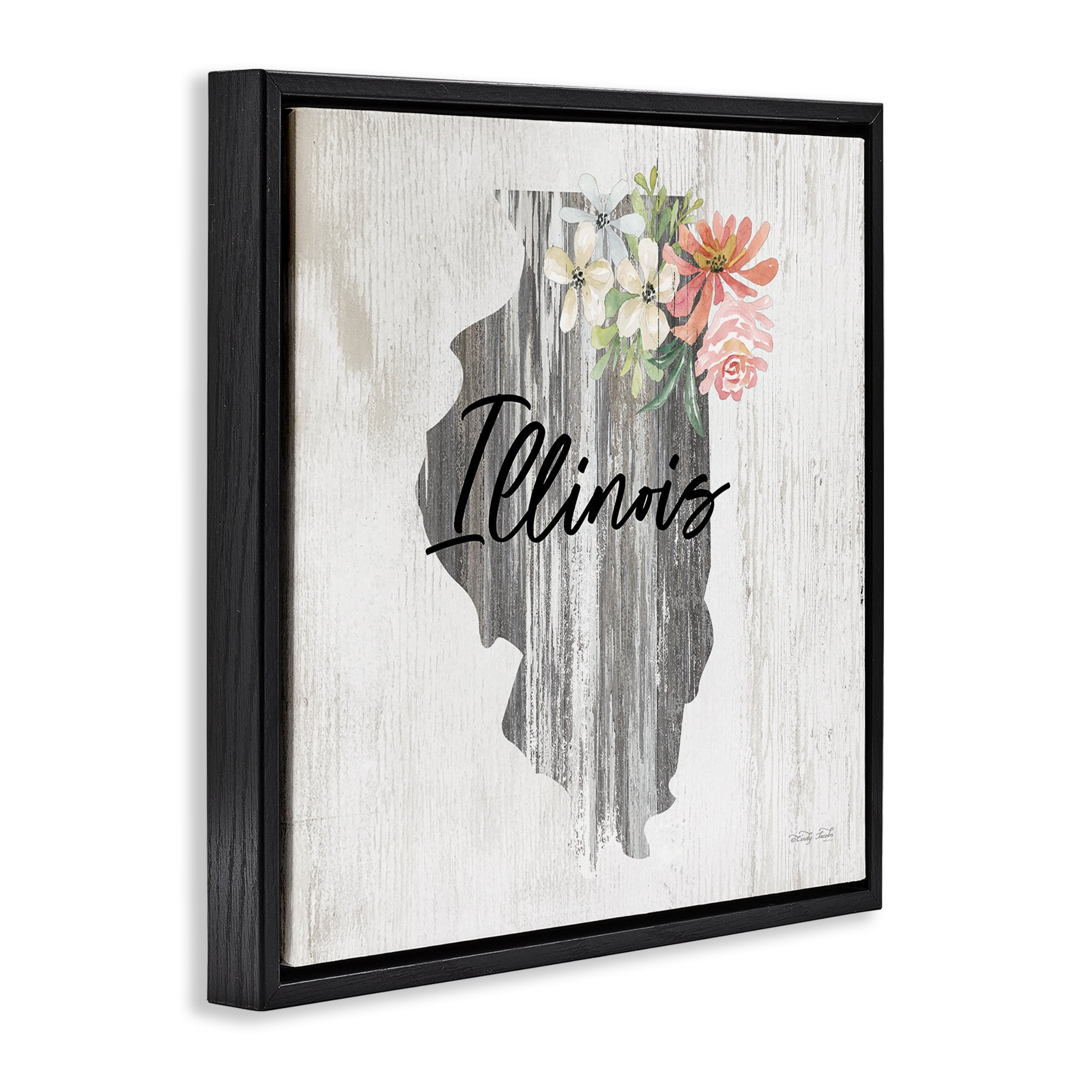 Stupell Industries Shabby Chic Illinois Botanical & Floral Painting Black Floater Framed Canvas Art Print Wall Art, 18 x 18