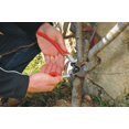 thumbnail image 3 of Tijeras de podar FELCO F-13, 27 cm, doble uso a mano, corte de 30 mm, 3 of 4