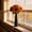 Black,9", variant on Plastic Floral Bud Vase 9 Inches Gift for Mom MInimalist Pampas Grass Holder LivIng Room Centerpiece Shatterproof Decorative Bottle Welcome SprIng Mother's Day Easter