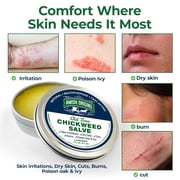 Amish Origins Old Time Chickweed Salve 2 fl oz Natural Skin Salve with Olive Oil & Beeswax Moisturizing Skin Care Balm