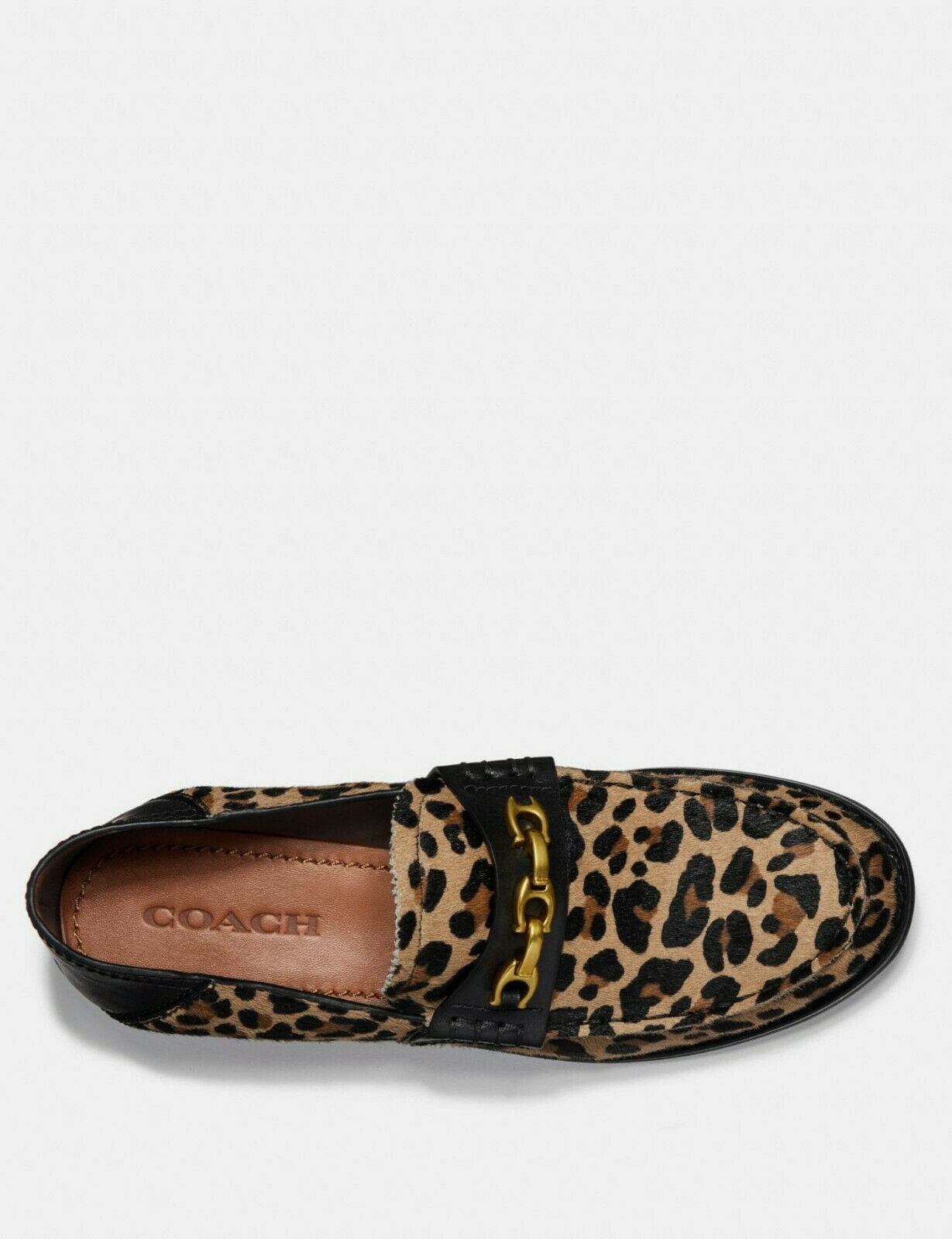 putnam loafer in signature canvas