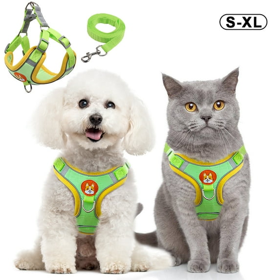 Puppy Harness and Leash Set - Dog Vest Harness for Small Dogs Medium Dogs- Adjustable Reflective Step in Harness for Dogs - Soft Mesh Comfort Fit No Pull No Choke - Green , XL
