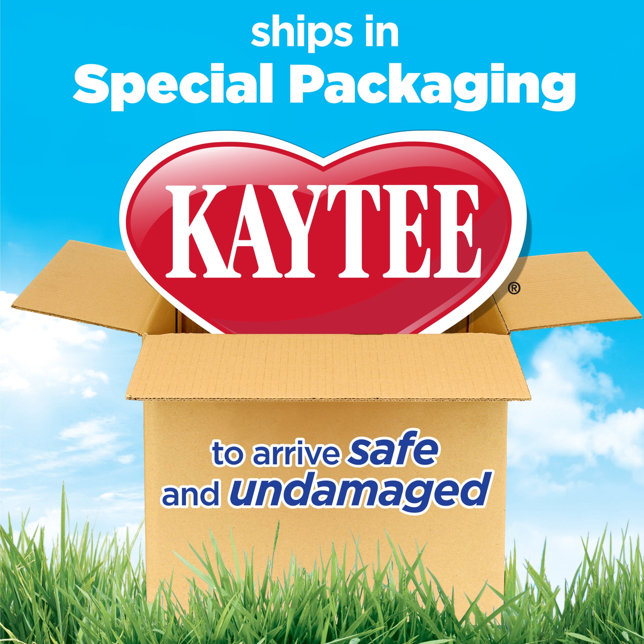 Kaytee Critter Trail Two Level Habitat for Pet Dwarf Hamsters, Gerbils or Mice