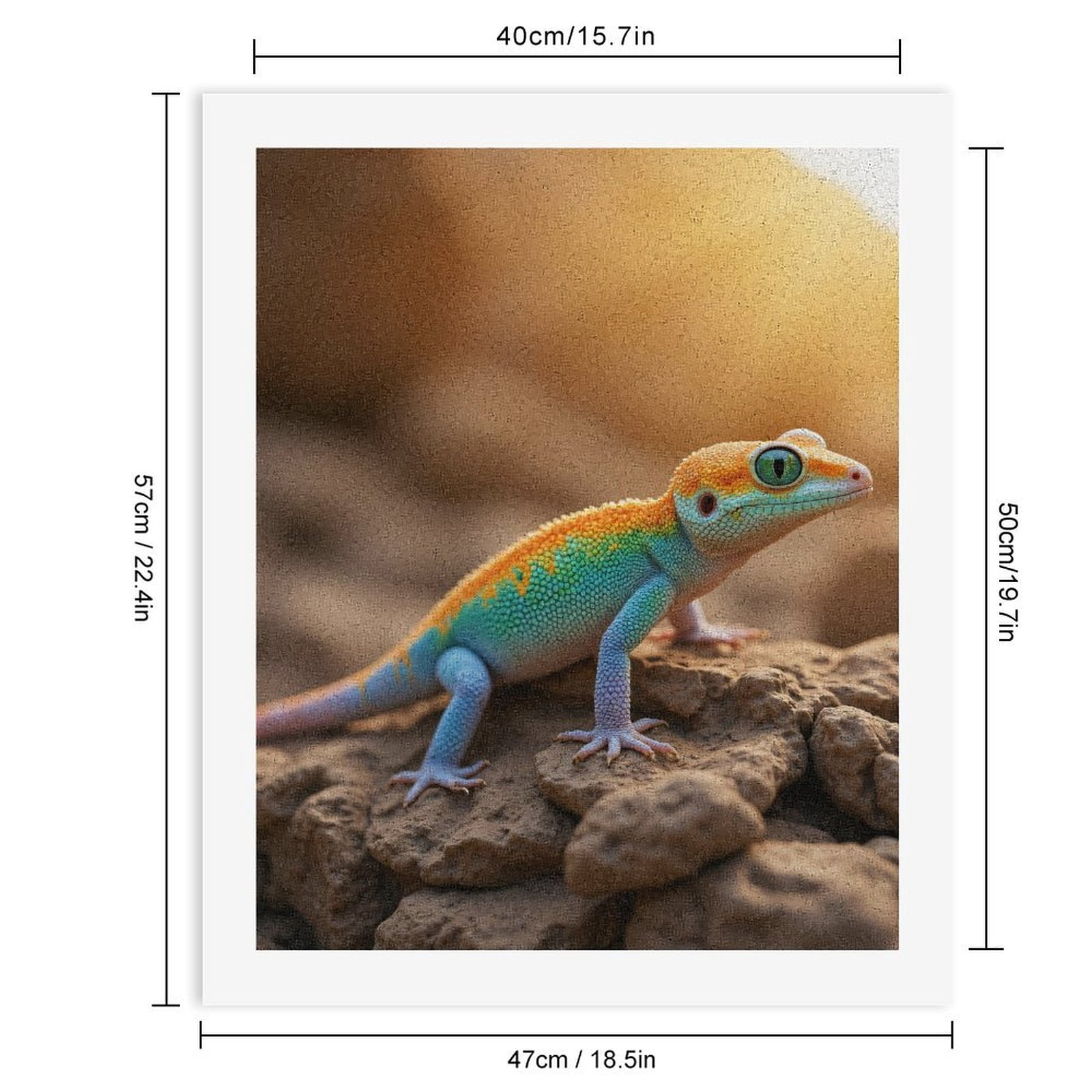 Paint by Numbers Kit for Adults, Colorful Lizard On Rocks Paint by Numbers, Easy Paint by Numbers Kit for Adults Beginner, DIY Adult Paint by Number Kits on Canvas, Home Decor