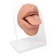 thumbnail image 5 of Modelo de exhibición de lengua, modelo de lengua humana, molde de boca de lengua blanda, modelo de lengua de primera línea, 5 of 14