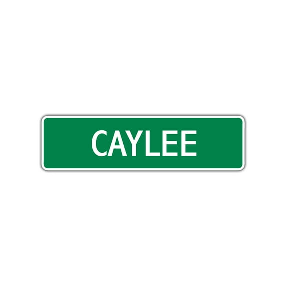 Caylee Girls Children Name Indoor Outdoor Letter Printed Label Wall Plaque Decoration Aluminum Metal Sign 4"x13.5"