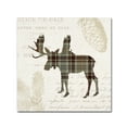 thumbnail image 1 of Trademark Fine Art 'Plaid Lodge IV Tan' Canvas Art by Wild Apple Portfolio, 1 of 3