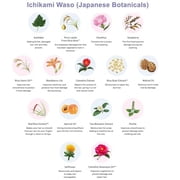 Kracie Ichikami Color Care Shampoo 480ml - 2 pack Value Set Japanese Botanical Hair Care for Soft & Smooth Hair with Free Hair Treatment Mask
