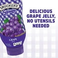 Grape Squeezable Jelly, 20 Ounces (Pack of 12)