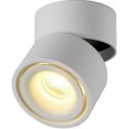 thumbnail image 1 of 10w para interiores Led Flood, 360 Adjable Techo giratorio y superficie Ing Cob Led 10x10c, 1 of 4