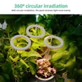 thumbnail image 2 of Tignapoo Lumière de Croissance des Plantes à LED Réglable à 360° Alimentée par Usb avec Minuterie 8H/12H/16H, Spectre Rose-Violet 4.8W 60LED pour Plantes d'Intérieur, Succulentes et Semis, 2 of 7