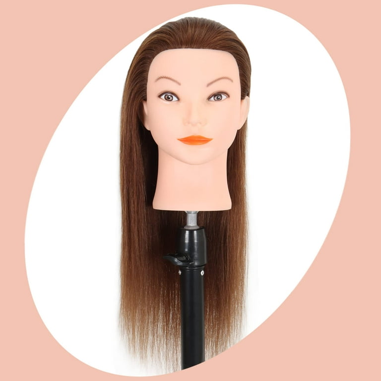 Mannequin Head with Human Hair - 20-22 Cosmetology Mannequin Head with  100% Real Human Hair for Braiding Practice Cutting - Manikin Head with  Human Hair for Hairdresser (Brown - B Style) 