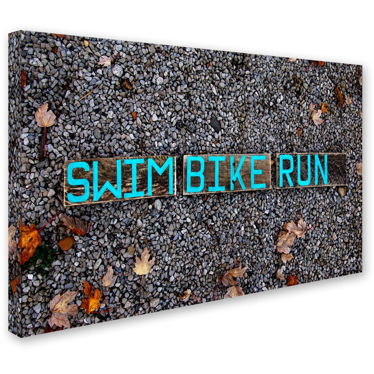 Trademark Fine Art 'The Triathlete II' Canvas Art by Nicole Dietz