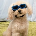 thumbnail image 3 of Protective Dog Sunglasses For Small Breed Puppies With Adjustable Windproof Goggles And Secure Straps For Outdoor Adventures, 3 of 3