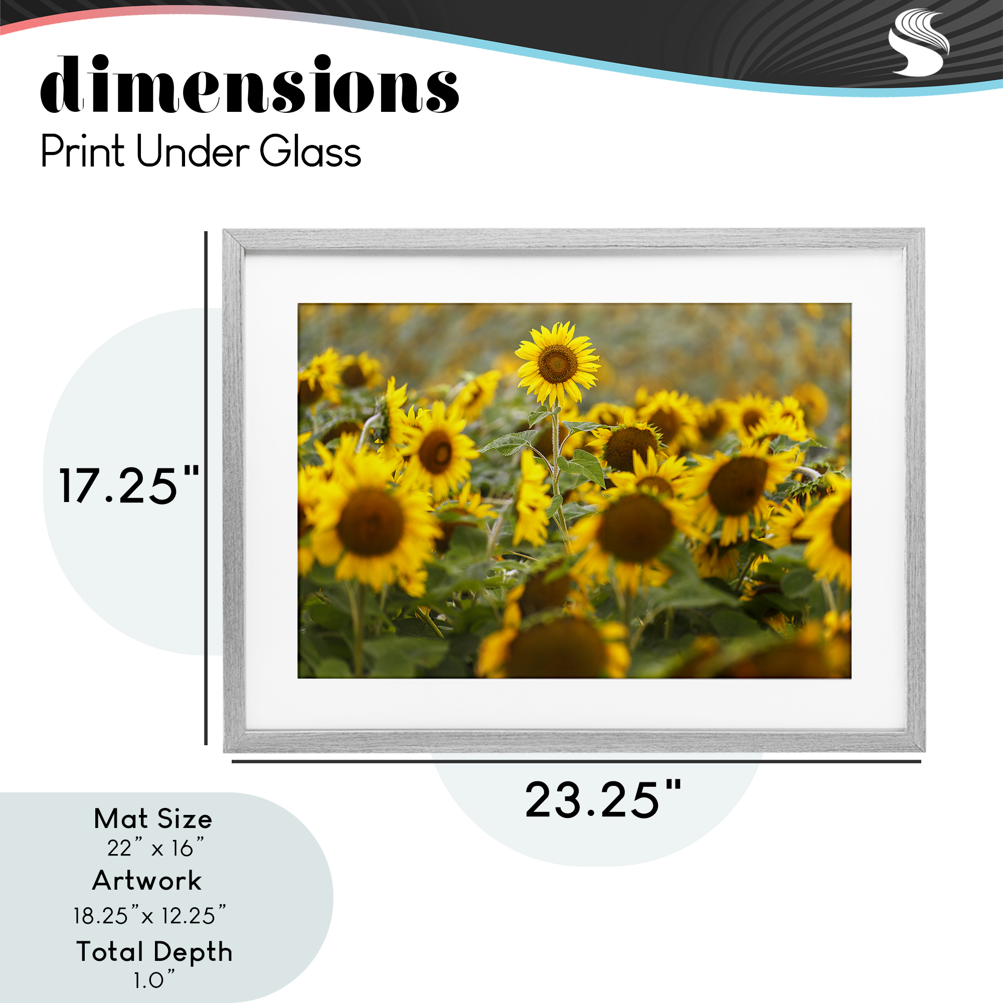 Central Sunflower in Meadow Gray Framed Print Under Glass, design by Andy Crawford