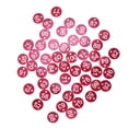 thumbnail image 2 of Etiquetas Numeradas Bling Bling para Granja y Ganado Color Rojo 51-100, 2 of 14