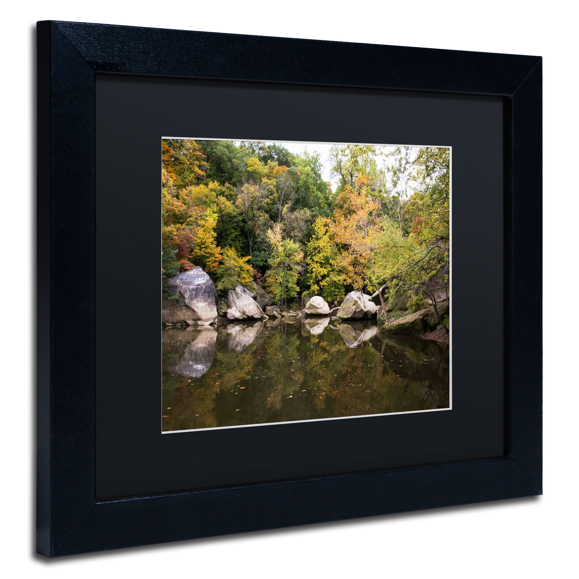 Trademark Fine Art "Graffiti Fall" Canvas Art by Kurt Shaffer, Black Matte, Black Frame