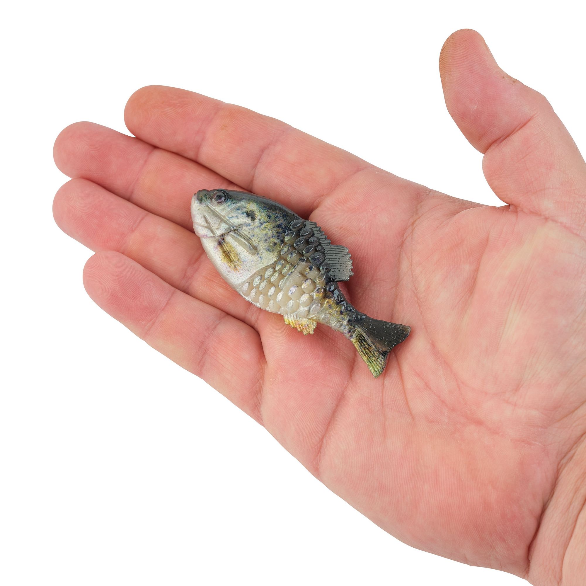Berkley Introduces The PowerBait Gilly - The Fishing Wire