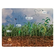 Kaplan Early Learning Corn Life Cycle Floor Puzzle - 24 Pieces