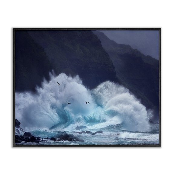 Stupell Industries Traditional Tsunami Waves Landscape Black Framed Giclee Art, 14 x 11, by Dennis Frates