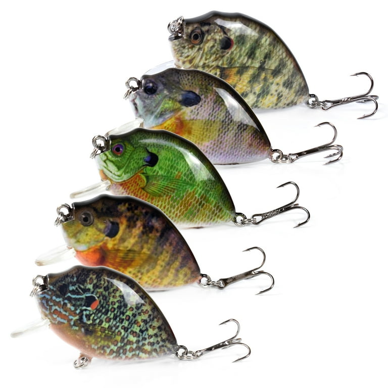MIXFEER 5PCS Fishing Lures 6cm 15g Mini Wobbler Fishing Lure Artificial  Hard Bait Crankbait with Tackle Box for Fish Bass Fishing Tackle 