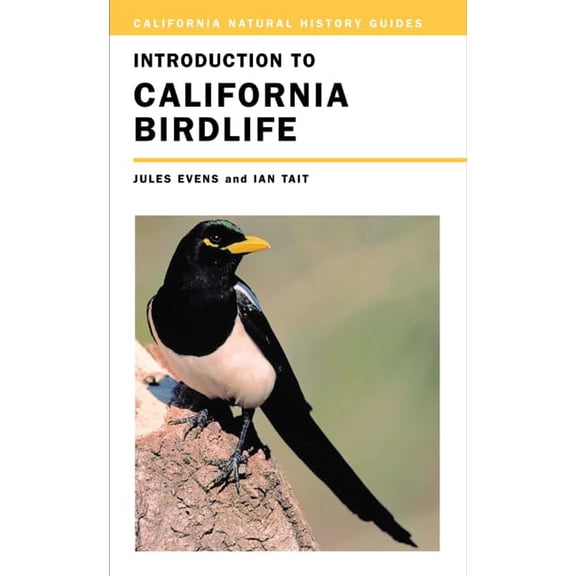 Pre-Owned Introduction to California Birdlife (California Natural History Guides) Paperback