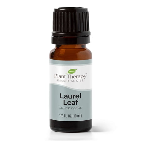 Plant Therapy Laurel Leaf Essential Oil 10 mL (1/3 oz) 100% Pure Undiluted Therapeutic Grade
