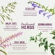 thumbnail image 4 of Suplemento WishGarden Herbs Deep Stress con ashwagandha, 60 ml, 4 of 8