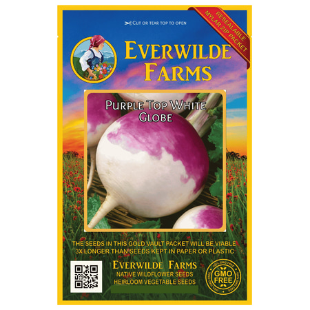 Everwilde Farms - 500 Purple Top White Globe Turnip Seeds - Gold Vault Jumbo Bulk Seed (Best Way To Plant Turnip Seeds)