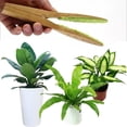 thumbnail image 3 of Limpiador Polvo Limpieza en Forma Hoja para Plantas Interior Y Exterior, 3 of 9