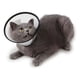 thumbnail image 5 of Collar Isabelino Para Mascotas Tallas 2+, 2, 3, 4, 5, 6 Y 7 Color Negro Tamaño Del Collar 5 26-29cm, 5 of 7