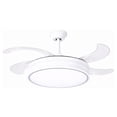 thumbnail image 1 of Ventilador de Techo Sky Care 42 Pulgadas Retráctil con Luz LED Control Remoto 6 Velocidades, 1 of 9